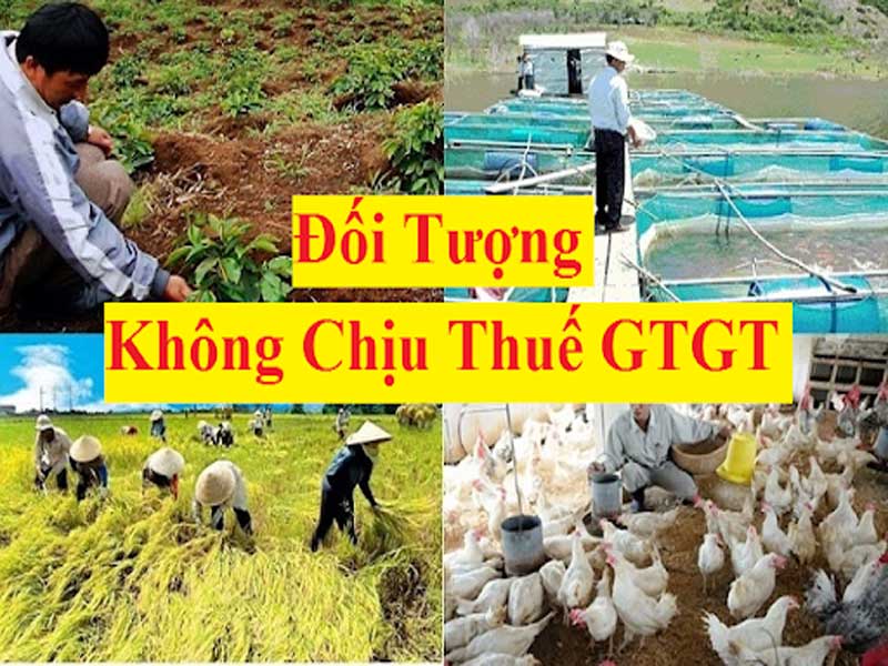 Đối Tượng Không Chịu Thuế Gtgt Sản Phẩm Trồng Trọt, Giống Vật Nuôi, Giống Cây Trồng, Tưới, Tiêu Nước, Muối